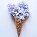 Rock & Republic Jacket M Moto Baroque Deluxe Gold Foil Black Zipper Photo 7