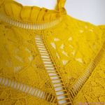 Altar'd State NEW mustard yellow lace dress with ruffle neck , M Photo 9