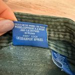 Disney Vintage 90's winnie the pooh piglet corduroy button shirt medium Green Photo 2