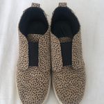 A New Day Target  Leopard Print Sneakers Photo 1