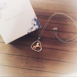 Unicorn in Heart Two Photo 1