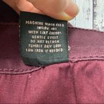 Tinseltown  Burgundy Shorts. Size 5. EUC Photo 5