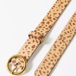 Urban Outfitters Leopard Print Belt Photo 1