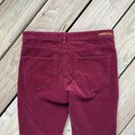 Pilcro and the Letterpress Women's Burgundy Serif Fit Corduroy Jeans Size 28 Photo 3