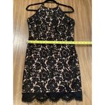 ASTR  lace open back mini cocktail halter mini dress black nude scalloped hem L Photo 3