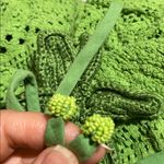 Anthropologie Farm Rio Halter Floral Ruffle Crochet Mini Dress Photo 8