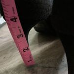 INC International Concepts Heels Size 6 Medium Black Photo 11