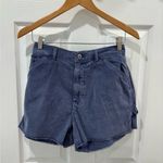 American Eagle Outfitters Smoky Blue Gray boyfriend Corduroy shorts size 10 NWT Photo 2