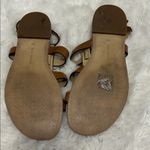 Michael Kors  Fallon Gladiator Sandals. Some visible wear as shown in pictures. Photo 5