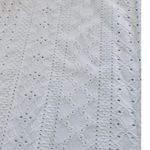 Curvy 2X Women's Light Blue Eyelet Short Photo 5