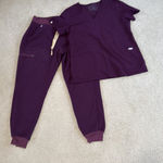 Large Zamora  Jogger Scrub Pants + Medium Casma figs scrub top Photo 0