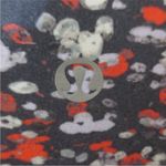 Lululemon  Water Blossom Multi Align Crop *21" Photo 12