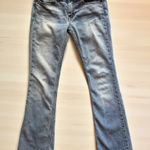 American Eagle Vintage Outfitters Bootcut Jeans – 0 Petite Photo 0