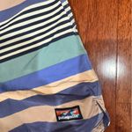 Patagonia  NetPlus Blue Striped Swim Shorts Photo 1
