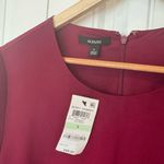 Alfani  Purple‎ Ruffe Sleeve Dress Size 8 Photo 5