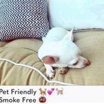 PacSun Kendall & Kylie swim bottom - - NWT Photo 5