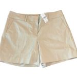 Anne Taylor Factory khaki The 6 Inch Short Mid Rise Women Size 8 Brown Casual Photo 0