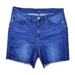 Judy Blue  Denim Shorts 3XL Plus Size Dark Wash Frayed Hem Stretch Photo 0