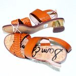 Sam Edelman NEW Teena 2 Ankle Strap Sandal Photo 4