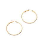 Fashion Hoop Gold plated Earrings Photo 3