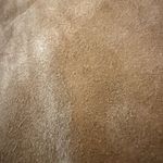 Talbots 100% Goat Stretch Suede Leather Pants Luxury NWT Side Zip Petite 16P Photo 10