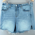 Arula denim shorts Blue Size 10 Photo 0