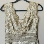 Tadashi Shoji Embroidered Lace & Sequin V-Neck Off-White Sheath Dress Size 0 Photo 3