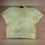 Wild Fable NWT Women's Short Sleeve Square Neck Fitted Seamless top Green crop Photo 3