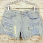 BLANK NYC Tomboy Short Distressed Cut Off Shorts Photo 1