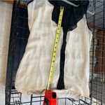 Maurice's  no sleeve shell/blouse Photo 5