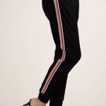 Trina Turk ππ Bop 2 Pant ~ Black with Glitter Rainbow Tuxedo Stripe XXL NWT Photo 4