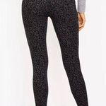 Loft Gray / Black Leopard Print Leggings Petite Costume Photo 1