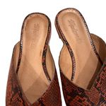 Madewell The Emilia Mule in Snake Embossed Leather, Sz 8 Photo 8