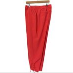 Dress Barn NEW DB Sunday Athleisure Casual Tie Ankle Pants Coral Pink Size 14W Photo 5