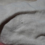 Charter Club  100% Linen‎ Beige Tan Pants Katherine Fit Womens 10 Petite Beachy Photo 3