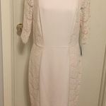 Antonio Melani NWT crepe and lace Sheath dress Photo 0