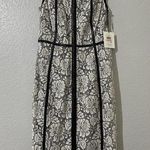 Calvin Klein  Women's White / Black Floral Lace Faux Leather Sheath Dress Sz 2 Photo 0