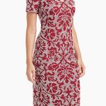 JS Collections  Dress Nadia V Neck Knee Length Dress in Blush/ Garnet Sz 8 EUC Photo 1
