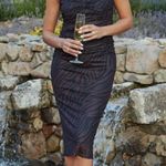 Petal and Pup Naomi Black & Brown Zebra Midi Dress M Photo 0