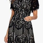 Amazon NWOT Women's Black Lace Dress Photo 0