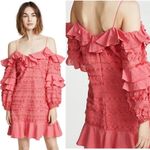 Alexis  Calypso Ruffled Embroidered Fringe Party Dress in Rouge Photo 1