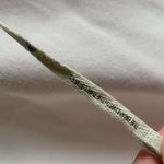 Adidas  Women’s Heavy Fit Hoodie Multi Sport (Sz XL)- Three Stripe Life- Cream Photo 8