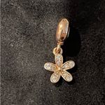 Pandora  Charm Photo 1