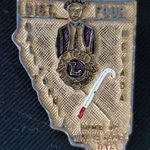 VTG Lions Club Pin District Four California Nevada Home White Canes Days Lapel Photo 0