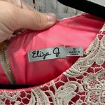 Eliza J  Pink Brocade Overlay Lace Sheath Dress Photo 1