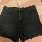 American Eagle Outfitters Shorts Photo 0