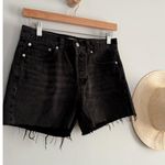 Madewell  | NWT | The Brynn Long Short in Levin Wash | Sz 24 Photo 2