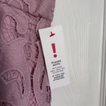 Bardot REVOLVE Lina Lace Sheath Dress NWT Size 8 Rose Pink Midi Photo 4