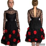 Vintage 1950s Dusauzay Black Lace Dress with Red Rosette Appliqués XS Photo 0