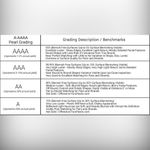 Boutique Custom Made 11mm Genuine Pearl Necklace Photo 7